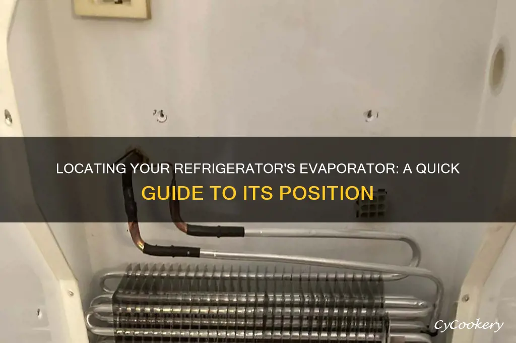 where is the evaporator in a refrigerator