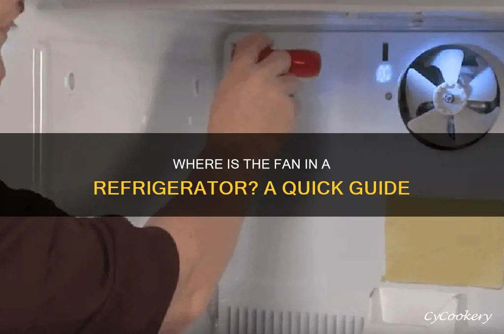where is the fan in a refrigerator