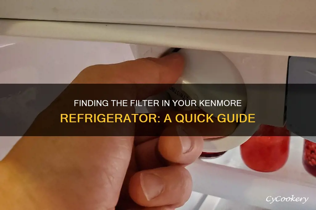 where is the filter in a kenmore refrigerator