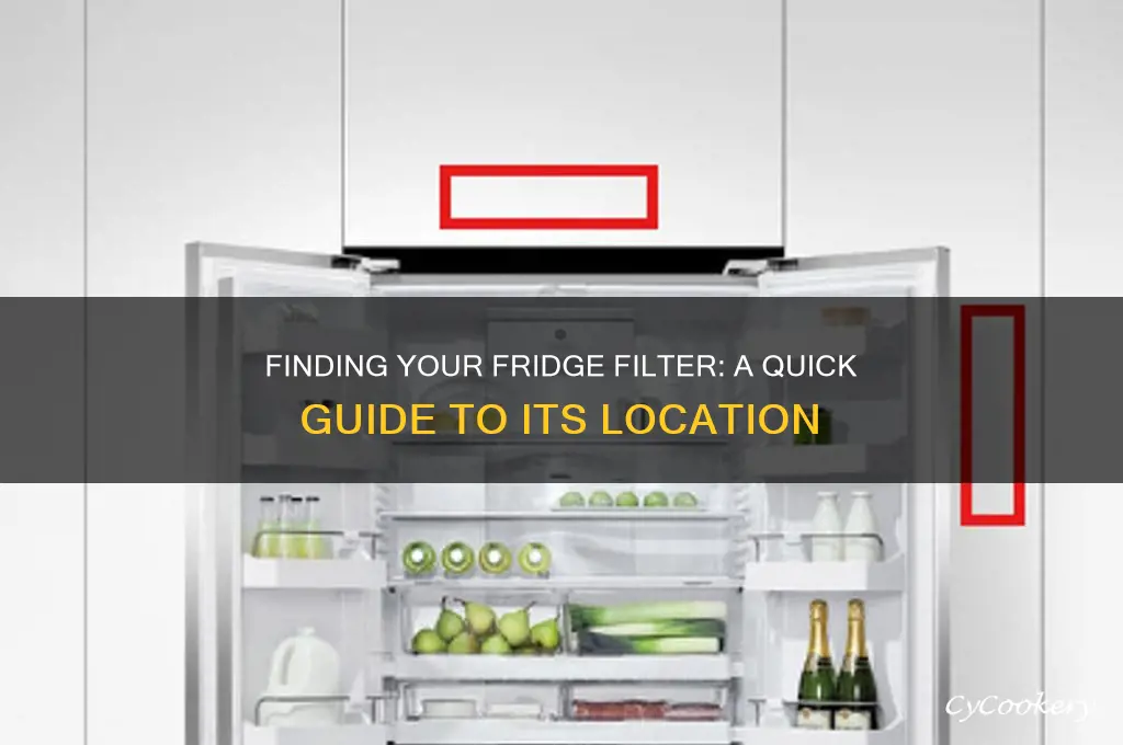 where is the filter in a refrigerator