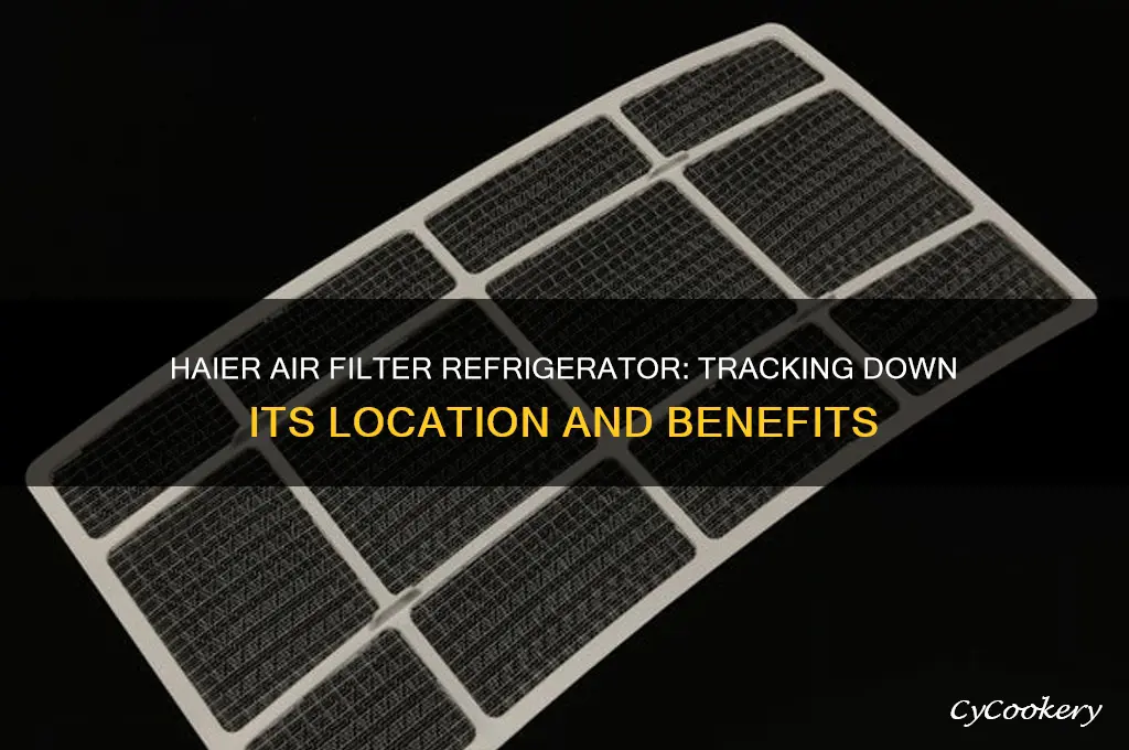 where is the haier air filter refrigerator