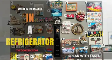 Where is the Magnet in Your Refrigerator? A Quick Guide