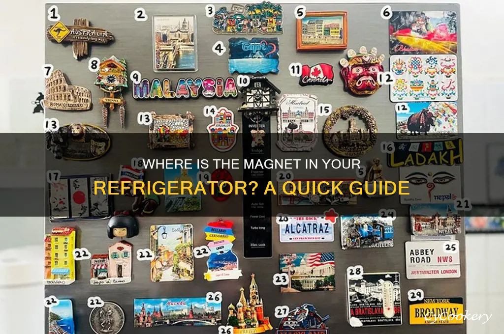 where is the magnet in a refrigerator