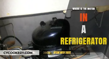 Where is the Motor in a Refrigerator: A Comprehensive Guide