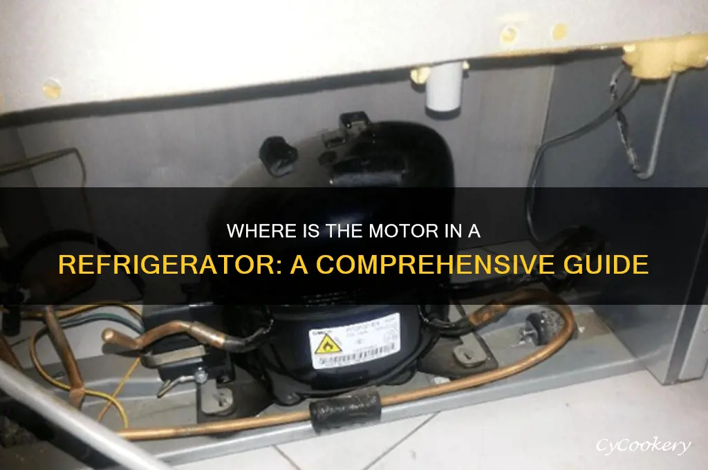 where is the motor in a refrigerator
