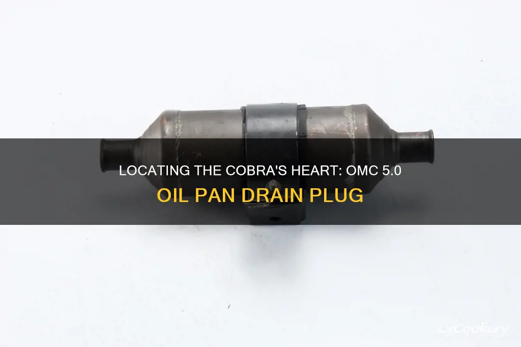 where is the oil pan drain plug omc 5.0 cobra