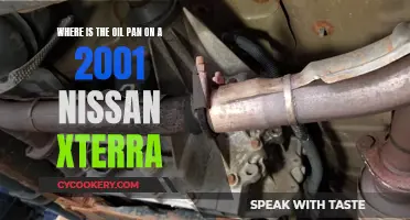 Locating the Oil Pan on a 2001 Nissan Xterra