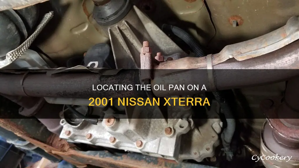 where is the oil pan on a 2001 nissan xterra