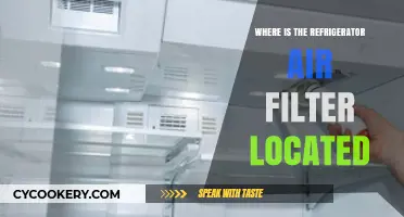 Finding Your Refrigerator Air Filter: A Quick Location Guide