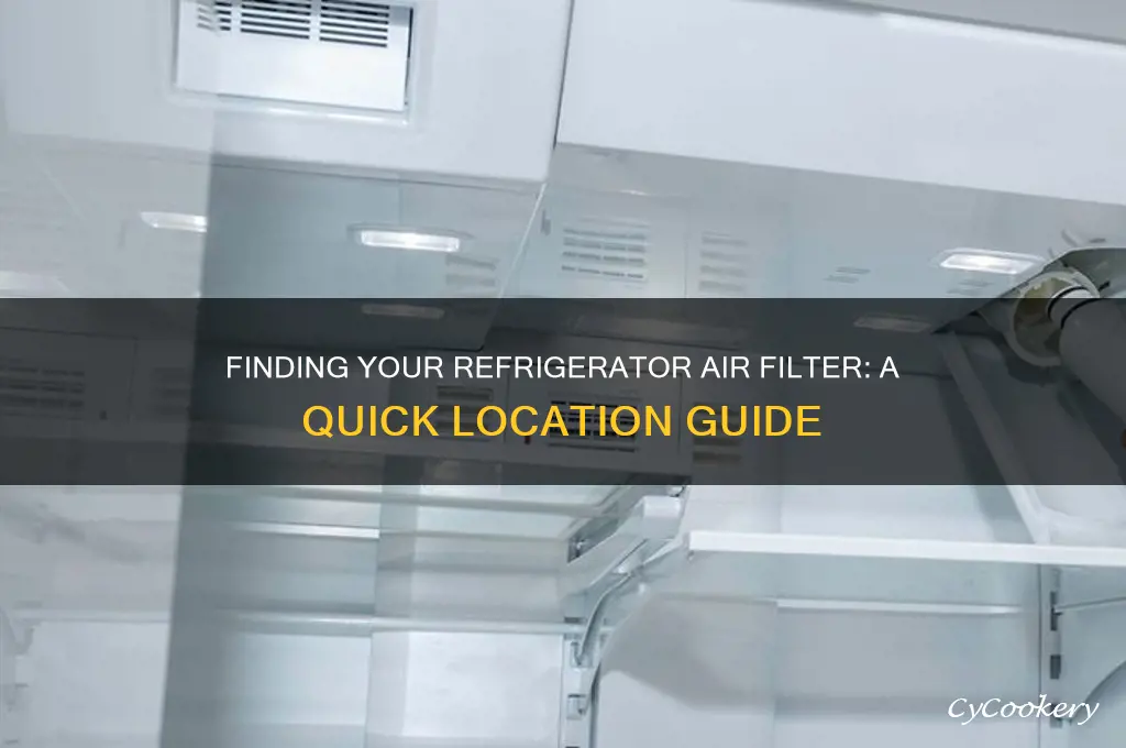 where is the refrigerator air filter located