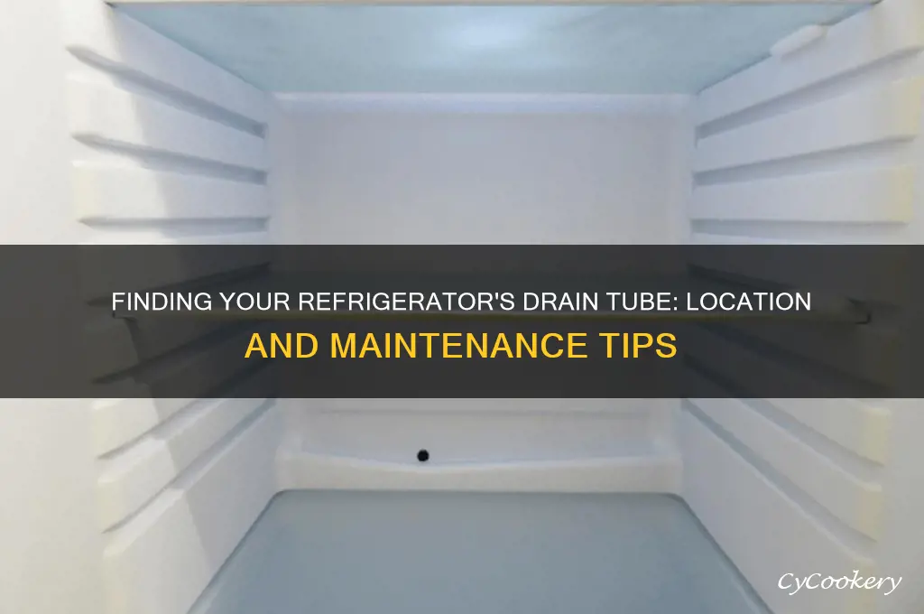 where is the refrigerator drain tube located