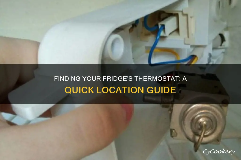 where is the thermostat in a refrigerator