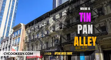 Tin Pan Alley: The Musical History of 28th Street