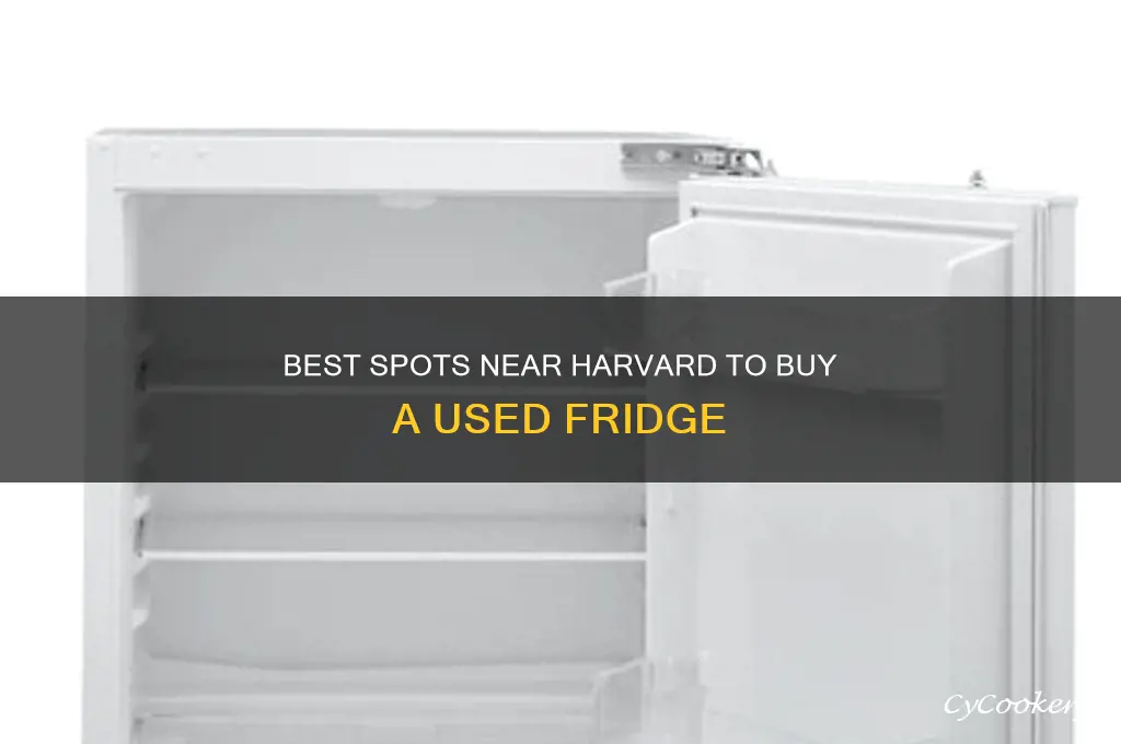 where near harvard can i buy a second hand refrigerator