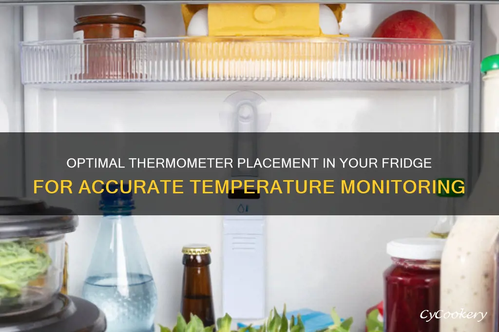 where should the thermometer be placed in the refrigerator
