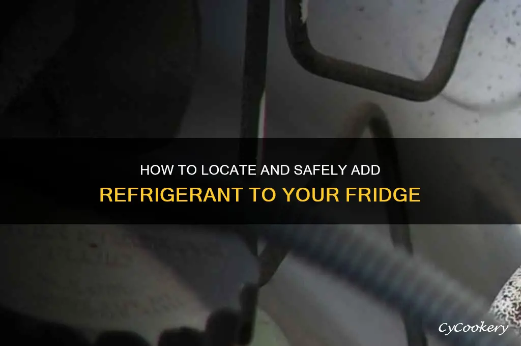 where to add refrigerant of a refrigerator