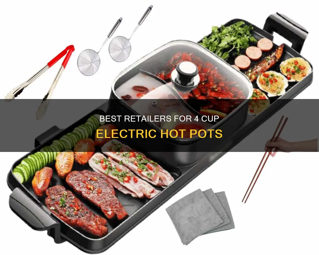 where to buy a 4 cup electric hot pot