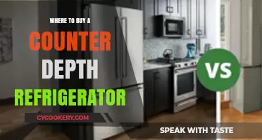 Top Retailers for Counter Depth Refrigerators: A Comprehensive Buying Guide