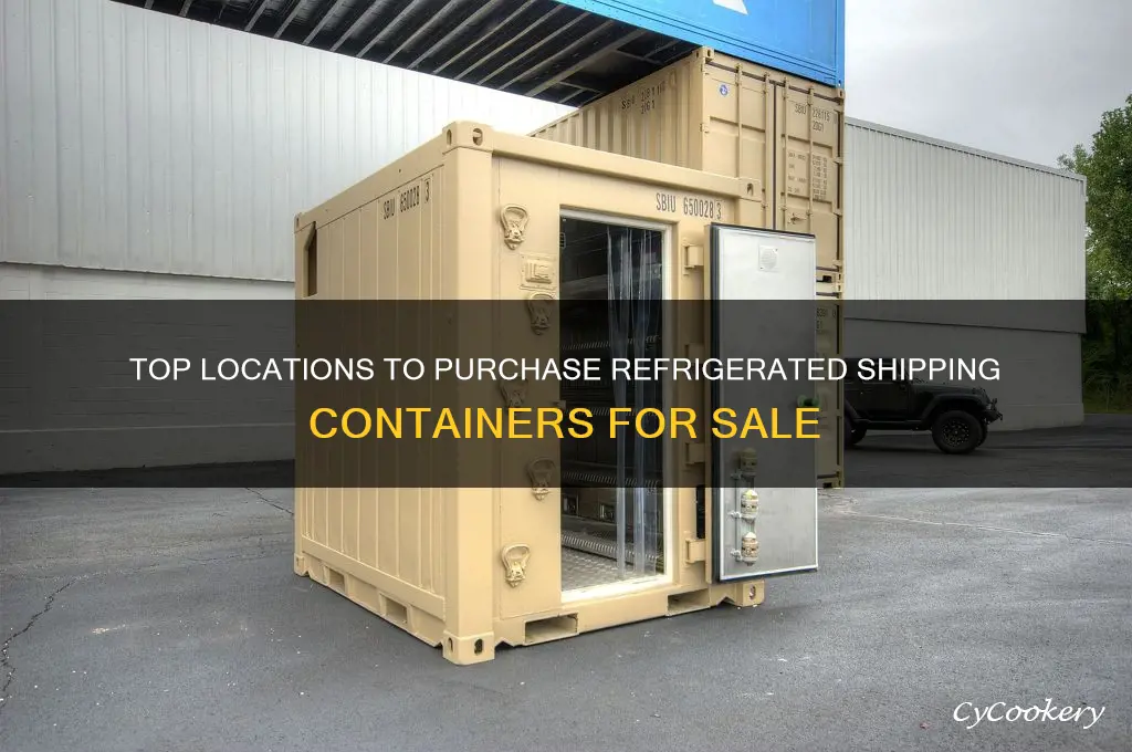 where to buy a refrigerated shipping container