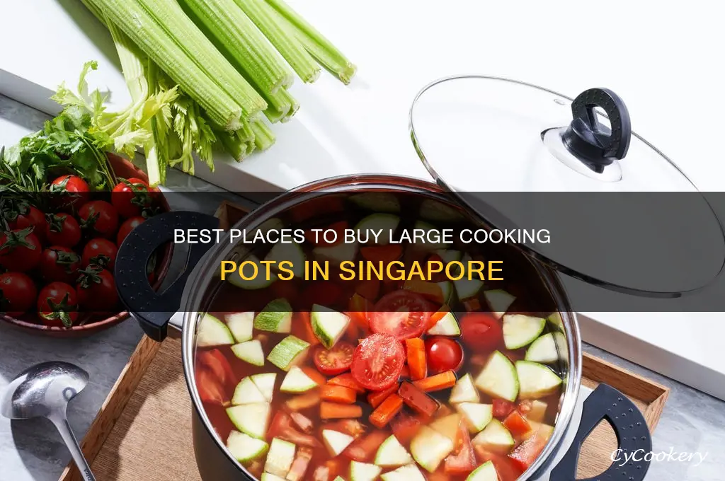 where to buy big cooking pots in singapore