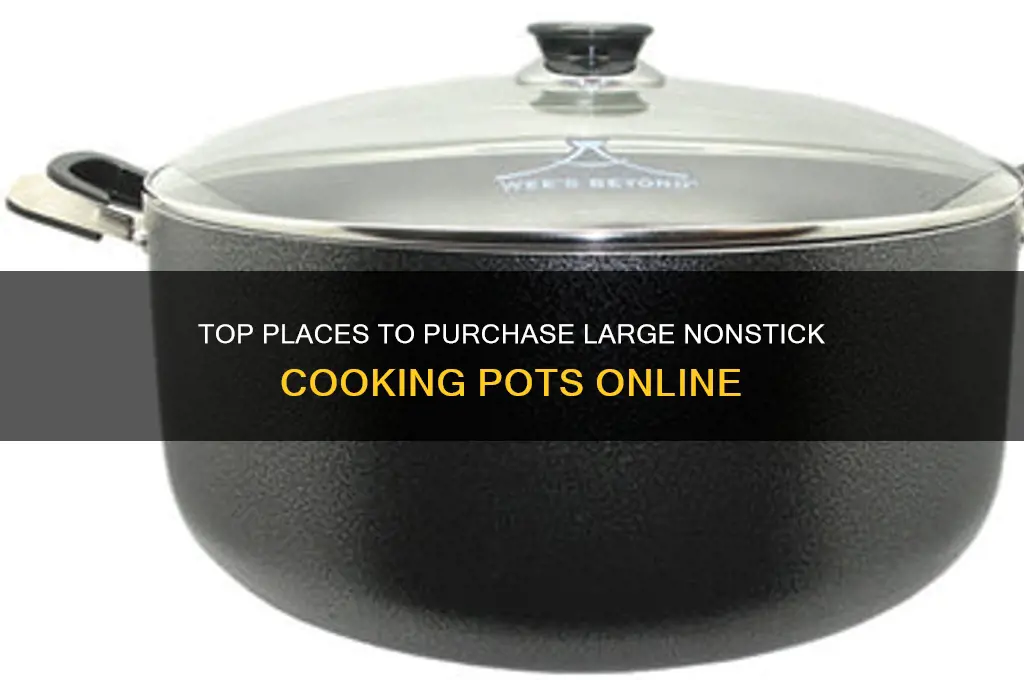 where to buy big nonstick cooking pot