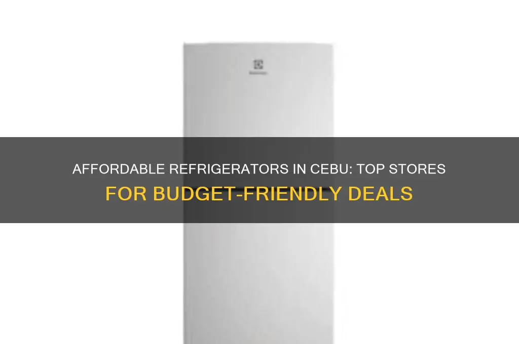 where to buy cheap refrigerator in cebu