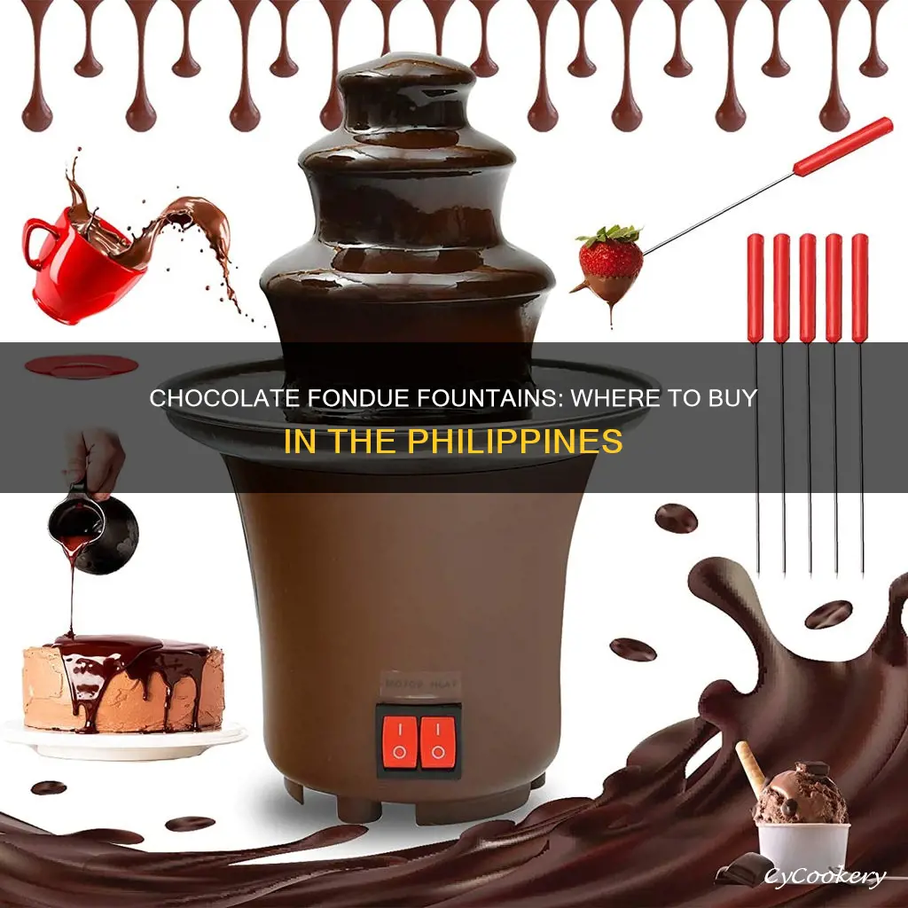 where to buy chocolate fondue fountain in philippines