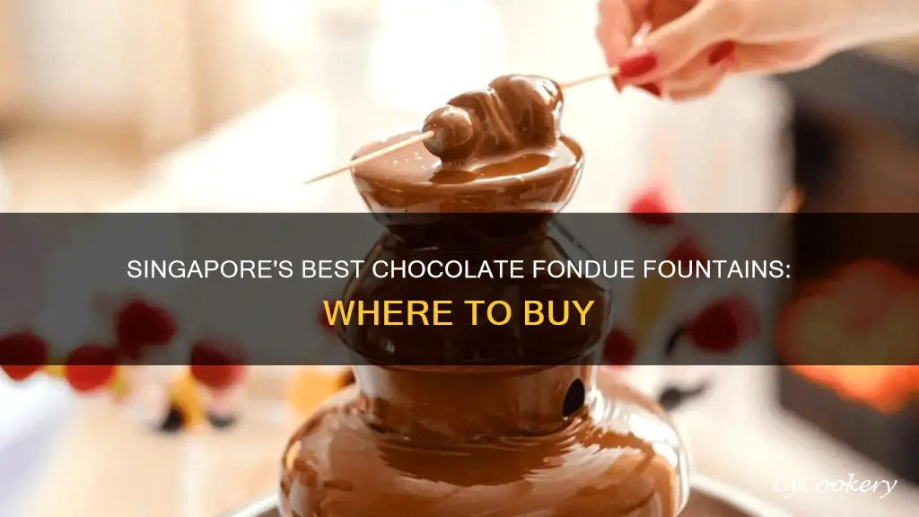 where to buy chocolate fondue fountain in singapore