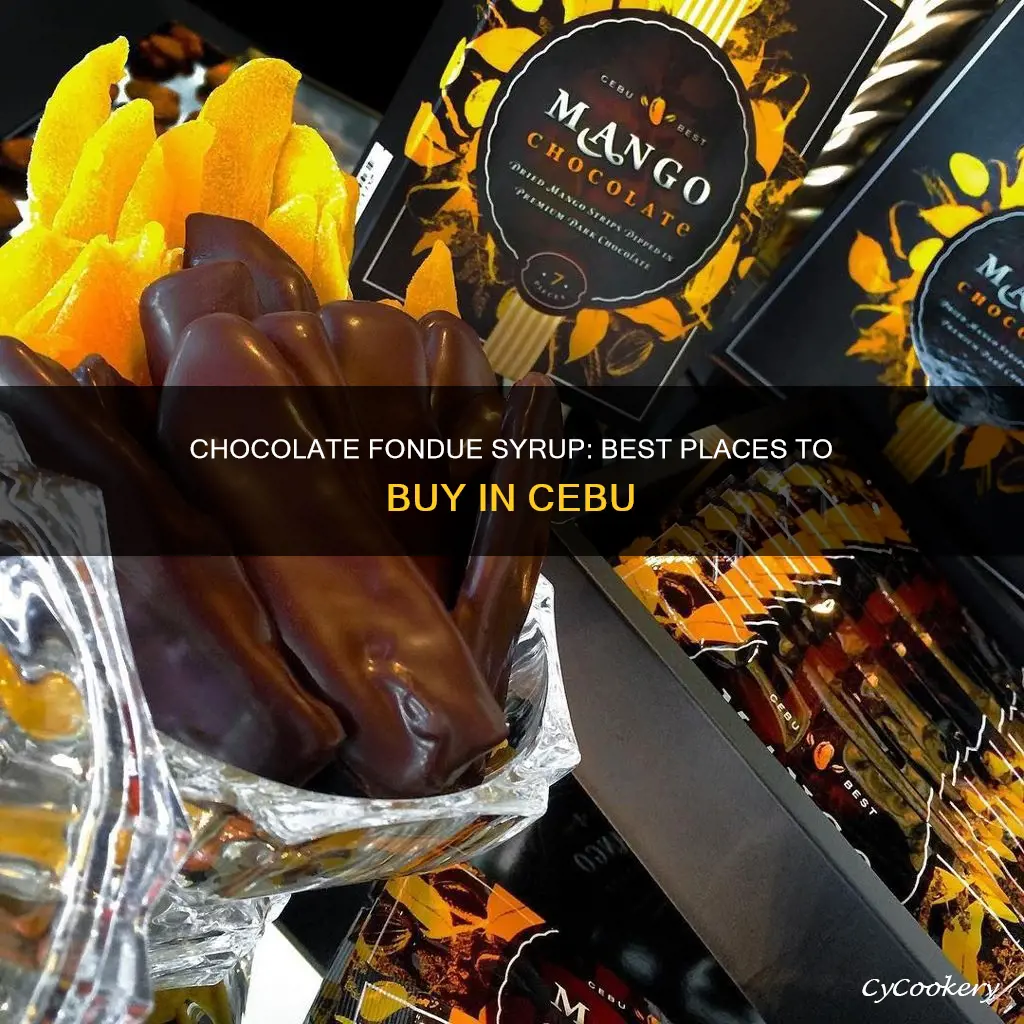 where to buy chocolate fondue syrup in cebu