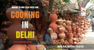 Discover Delhi's Best Spots to Buy Clay Cooking Pots