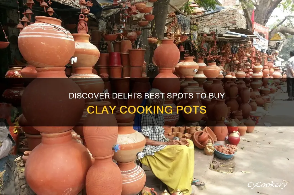 where to buy clay pots for cooking in delhi