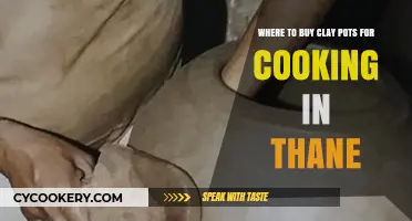 Best Places to Buy Clay Pots for Cooking in Thane
