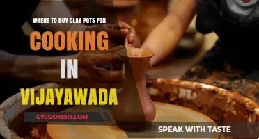 Best Places to Buy Clay Pots for Cooking in Vijayawada