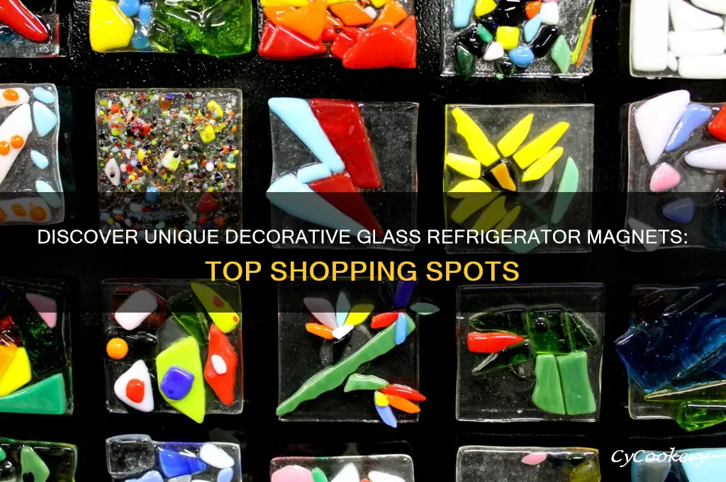 where to buy decorative glass refrigerator magnets