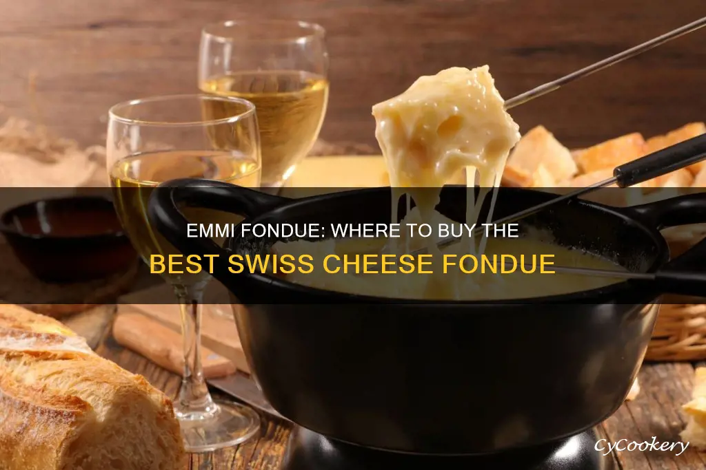 where to buy emmi fondue