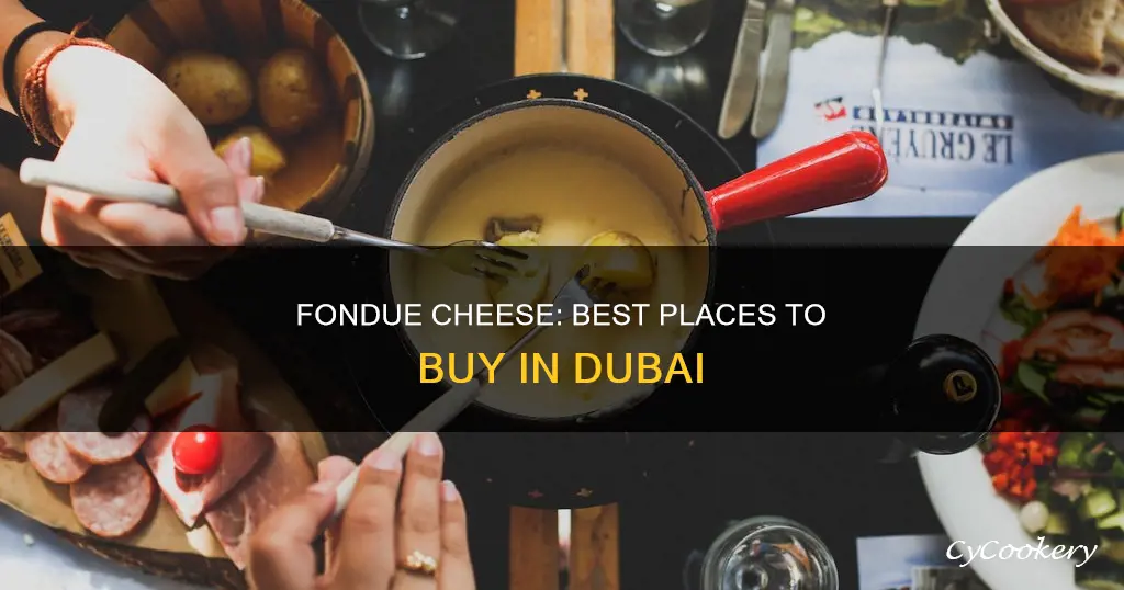 where to buy fondue cheese in dubai