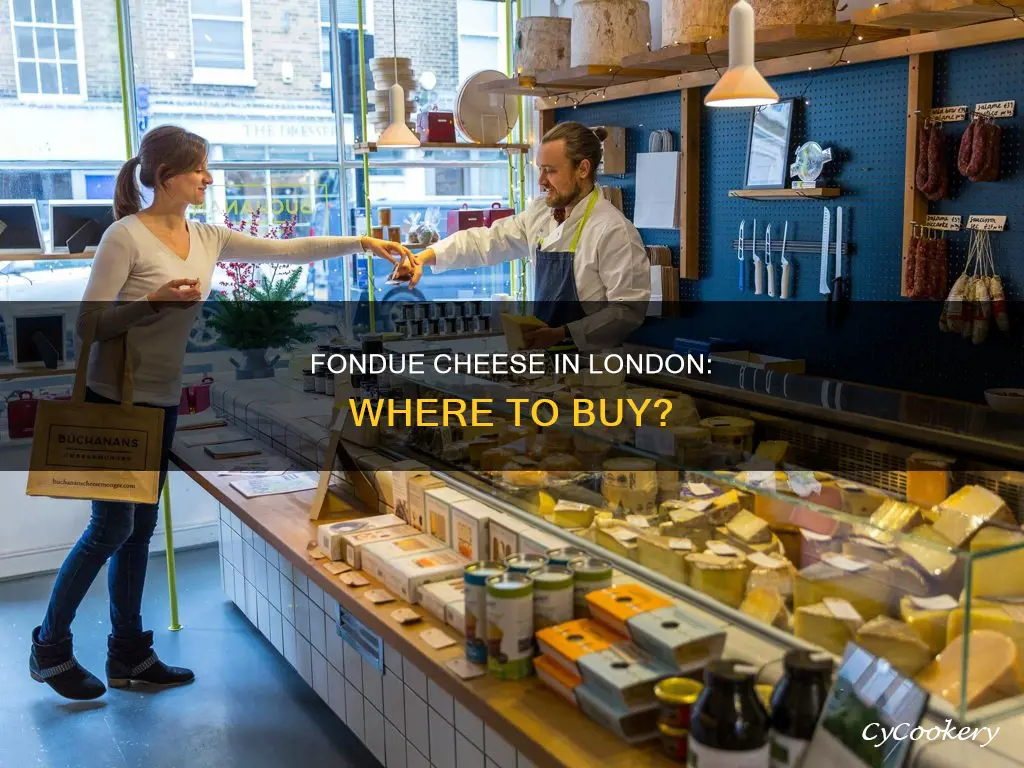 where to buy fondue cheese in london