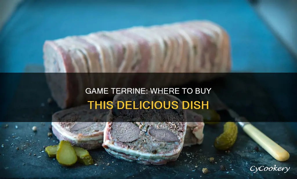 where to buy game terrine