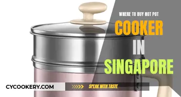 Hot Pot Heaven: Finding the Perfect Cooker in Singapore