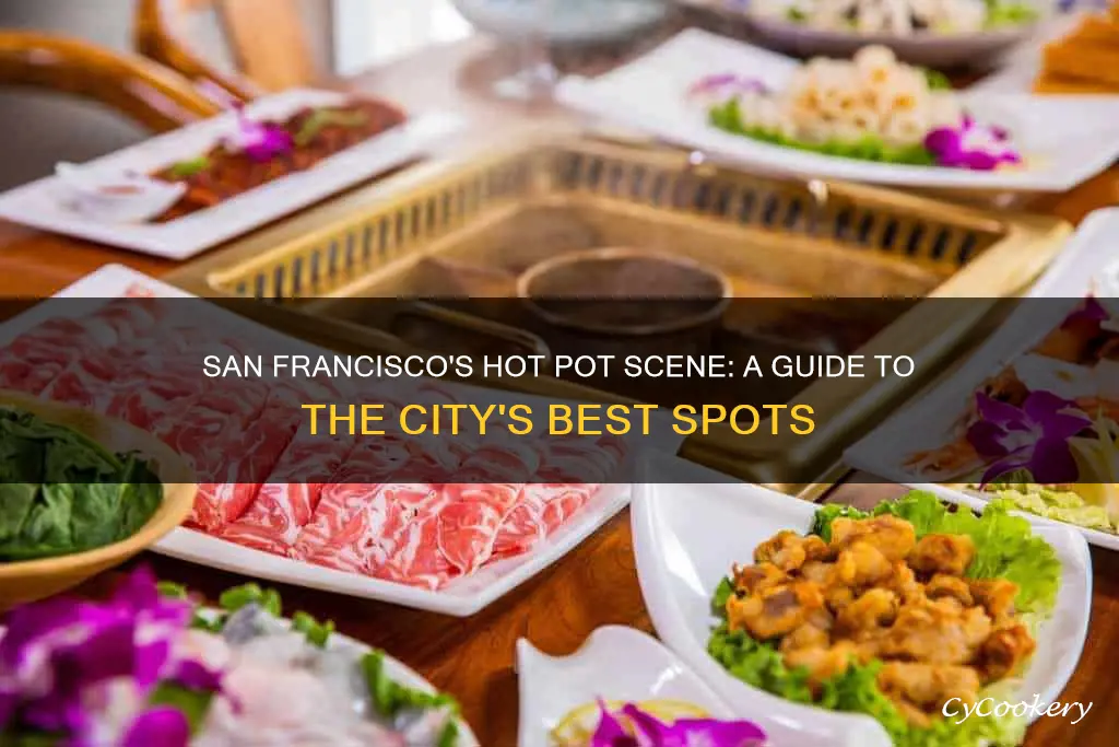 where to buy hot pot in san francisco