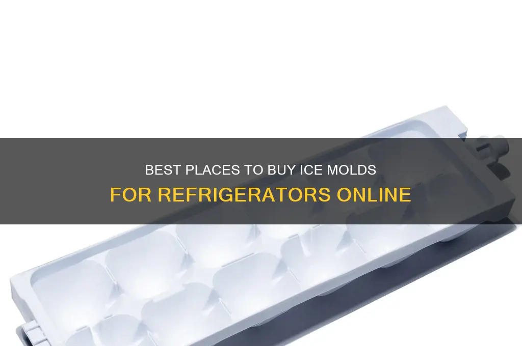 where to buy ice molds for refrigerators
