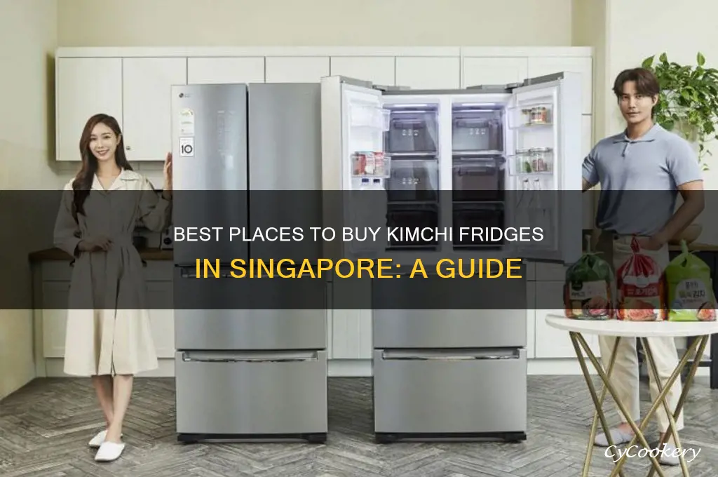 where to buy kimchi refrigerator in singapore