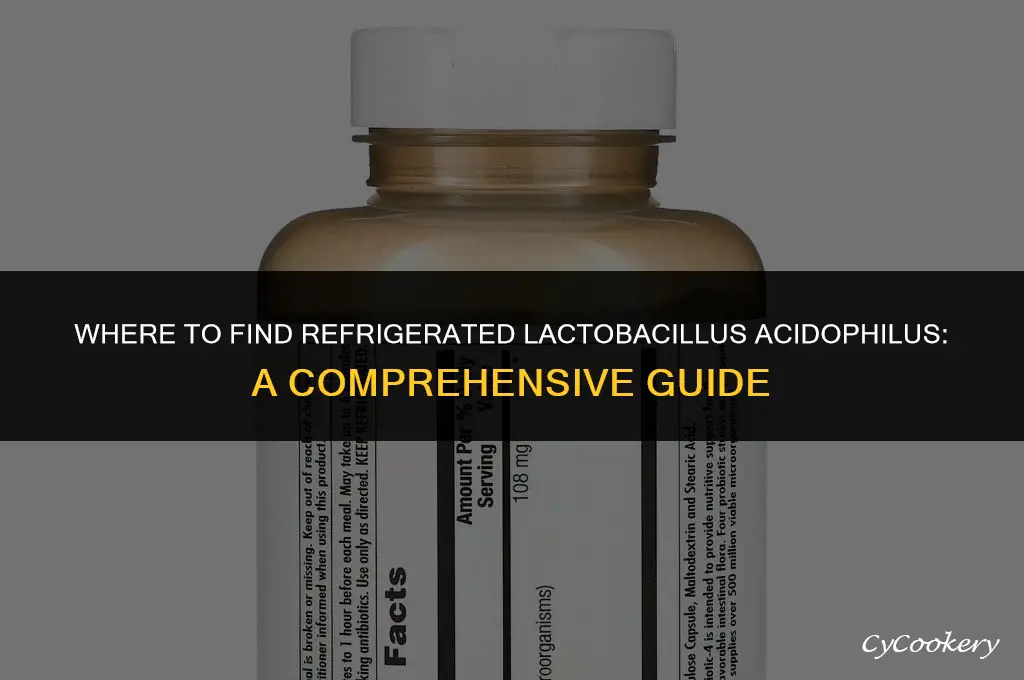where to buy lactobacillus acidophilus that is refrigerated