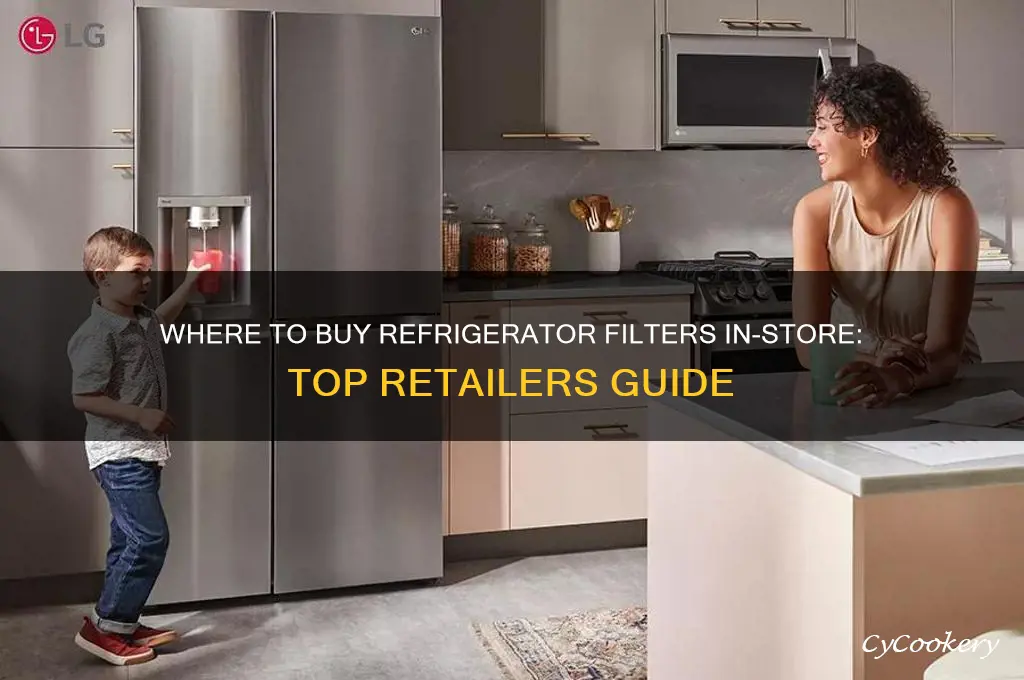 where to buy refrigerator filters in store