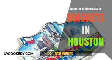 Best Spots to Buy Unique Refrigerator Magnets in Houston