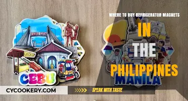 Where to Find Unique Refrigerator Magnets in the Philippines