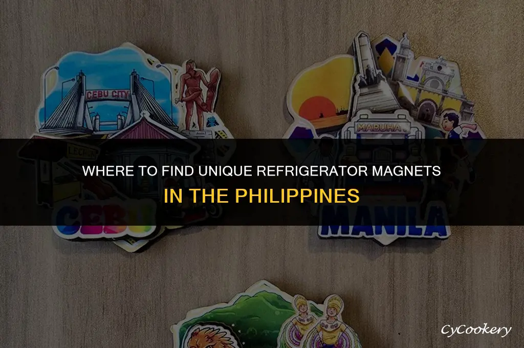 where to buy refrigerator magnets in the philippines