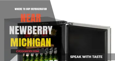Best Places to Buy Refrigerators Near Newberry, Michigan: A Guide