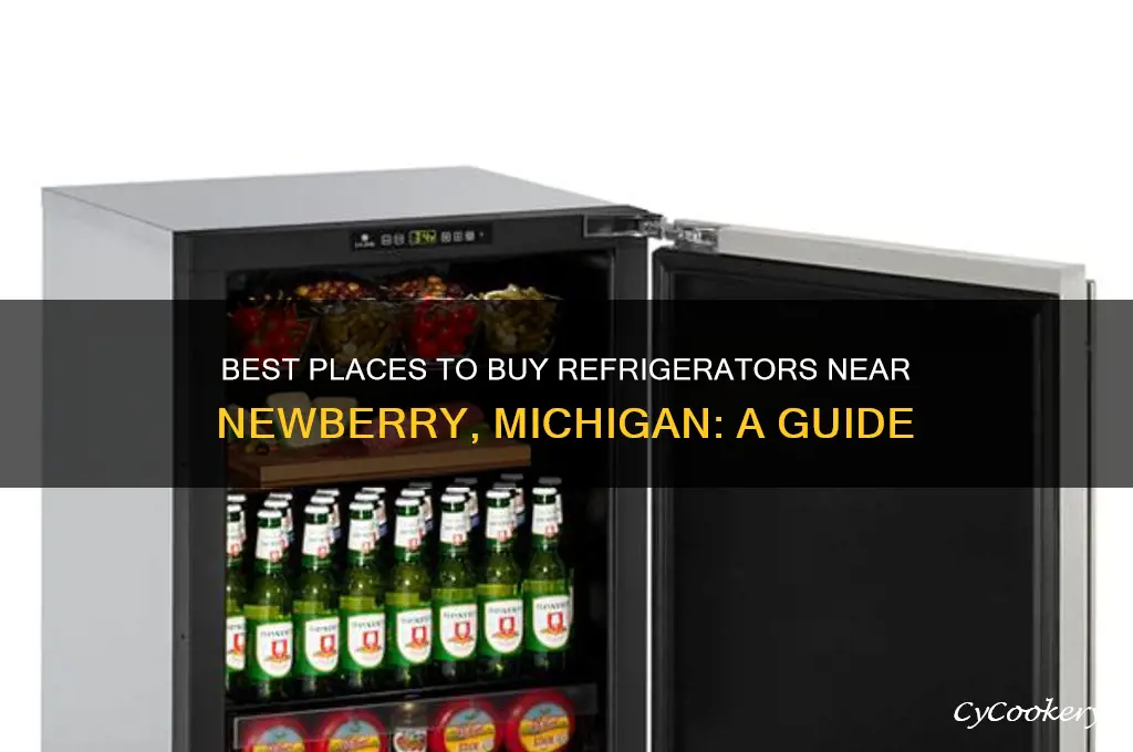 where to buy refrigerator near newberry michigan