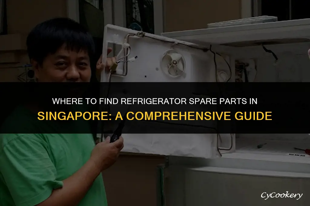 where to buy refrigerator spare parts in singapore